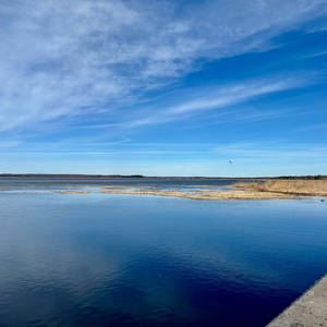 Уровень воды в озере Селигер поднялся выше отметки 