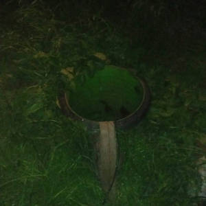 В Тверской области 3-летняя девочка упала в выгребную яму и чудом выжила