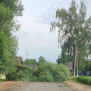 Упавшее дерево перекрыло проезд на пересечении улицы Володарского и переулка Южный